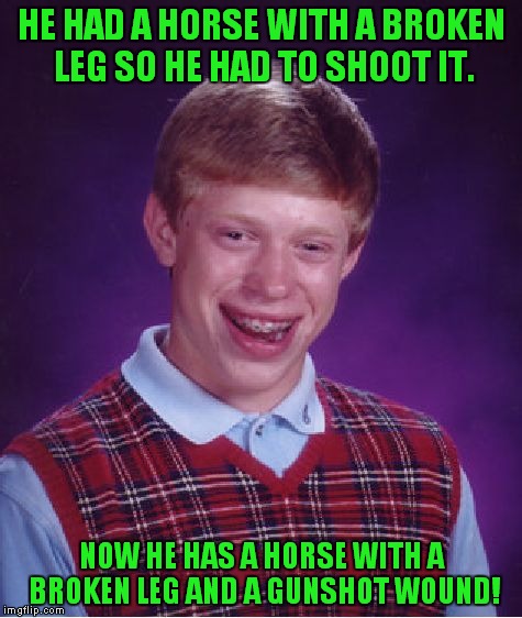 From Larry the Cable Guy | HE HAD A HORSE WITH A BROKEN LEG SO HE HAD TO SHOOT IT. NOW HE HAS A HORSE WITH A BROKEN LEG AND A GUNSHOT WOUND! | image tagged in memes,bad luck brian,larry the cable guy,horse | made w/ Imgflip meme maker