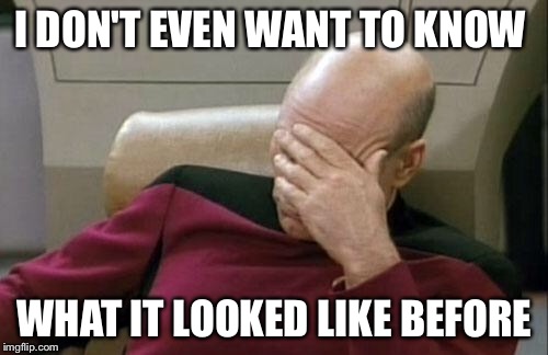 Captain Picard Facepalm Meme | I DON'T EVEN WANT TO KNOW WHAT IT LOOKED LIKE BEFORE | image tagged in memes,captain picard facepalm | made w/ Imgflip meme maker