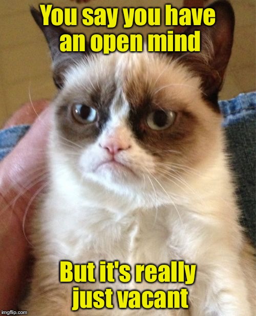 Grumpy Cat | You say you have an open mind; But it's really just vacant | image tagged in memes,grumpy cat | made w/ Imgflip meme maker