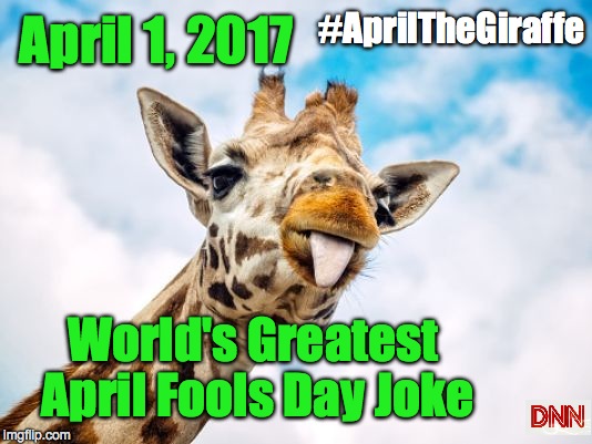 #AprilTheGiraffe; April 1, 2017; World's Greatest April Fools Day Joke | image tagged in april fools | made w/ Imgflip meme maker