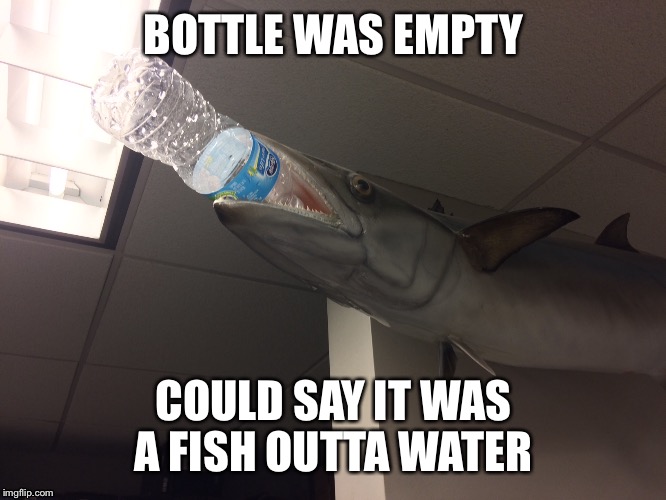 Saw this at work  | BOTTLE WAS EMPTY; COULD SAY IT WAS A FISH OUTTA WATER | image tagged in puns,animals,funny,jokes | made w/ Imgflip meme maker