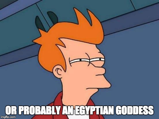 Futurama Fry Meme | OR PROBABLY AN EGYPTIAN GODDESS | image tagged in memes,futurama fry | made w/ Imgflip meme maker