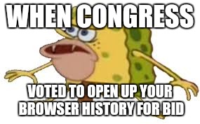 WHEN CONGRESS VOTED TO OPEN UP YOUR BROWSER HISTORY FOR BID | made w/ Imgflip meme maker