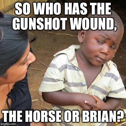 Third World Skeptical Kid Meme | SO WHO HAS THE GUNSHOT WOUND, THE HORSE OR BRIAN? | image tagged in memes,third world skeptical kid | made w/ Imgflip meme maker