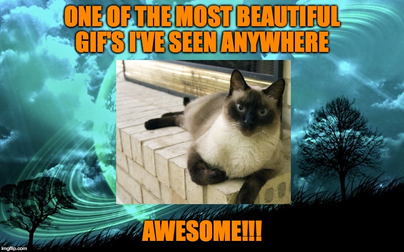 ONE OF THE MOST BEAUTIFUL GIF'S I'VE SEEN ANYWHERE AWESOME!!! | made w/ Imgflip meme maker