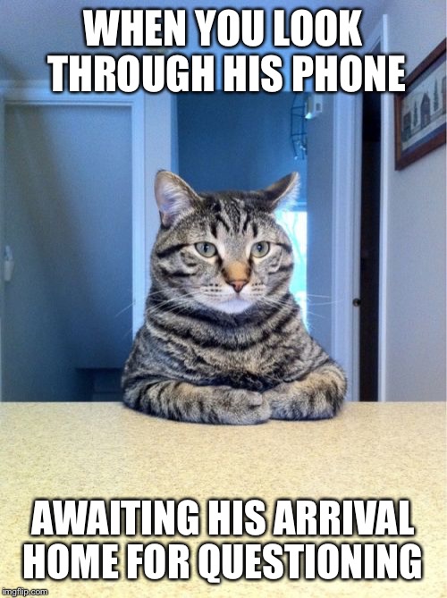 Take A Seat Cat Meme | WHEN YOU LOOK THROUGH HIS PHONE; AWAITING HIS ARRIVAL HOME FOR QUESTIONING | image tagged in memes,take a seat cat | made w/ Imgflip meme maker