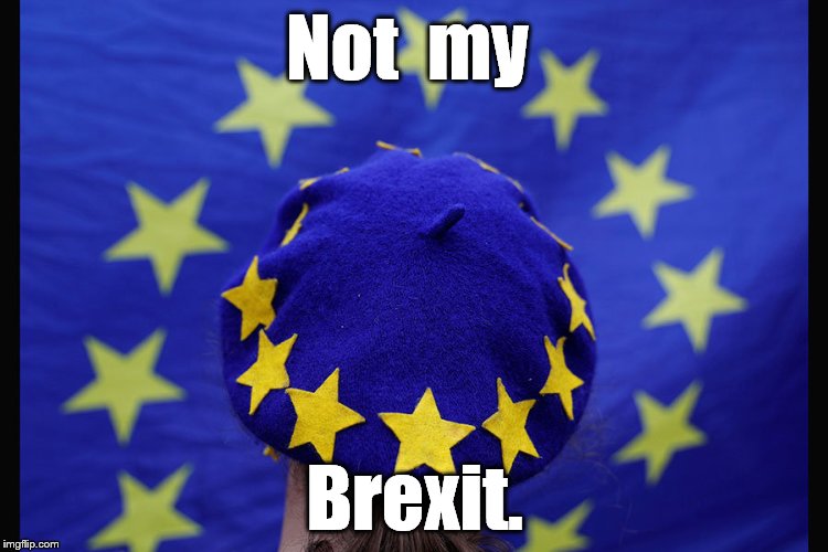 Man in European Union-flag-themed beret protestors Brexit in Birmingham as PM May executes her duties. | Not  my; Brexit. | image tagged in not my brexit beret,i want what i want damn it,why can't i be king,eu | made w/ Imgflip meme maker