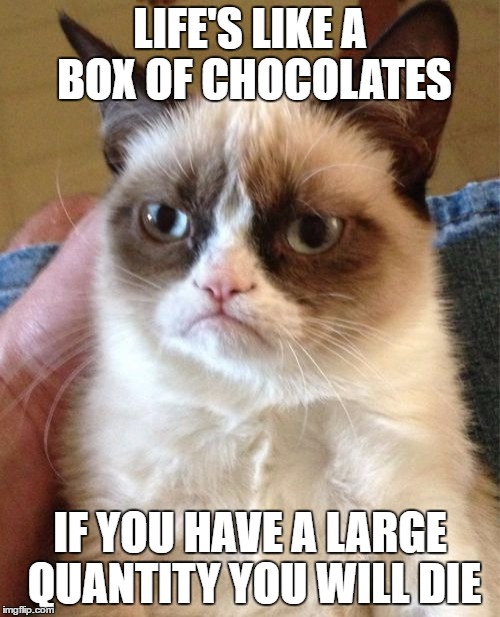 Grumpy Cat Meme | LIFE'S LIKE A BOX OF CHOCOLATES; IF YOU HAVE A LARGE QUANTITY YOU WILL DIE | image tagged in memes,grumpy cat | made w/ Imgflip meme maker