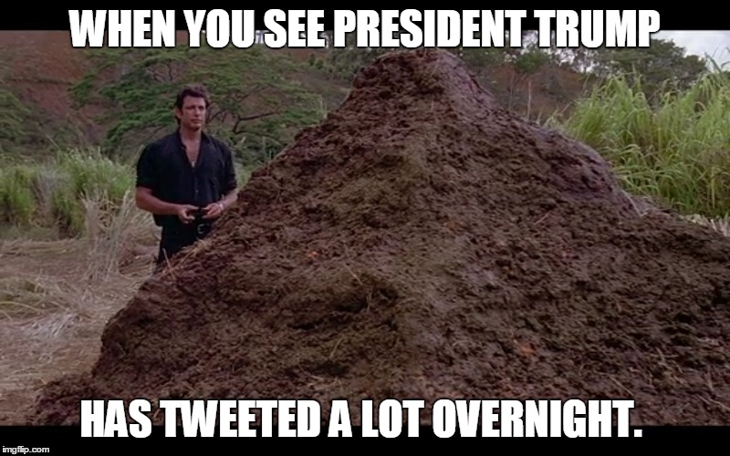 New Trump Twweets | WHEN YOU SEE PRESIDENT TRUMP; HAS TWEETED A LOT OVERNIGHT. | image tagged in jurassic park,trump,trump tweet | made w/ Imgflip meme maker