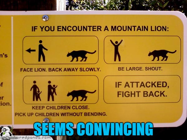 (Inspired by raydog) Can we just tak ea moment a mourn the loss of many children who came too close to this lion | SEEMS CONVINCING | image tagged in funny signs,funny,memes,xd,human sacrifice | made w/ Imgflip meme maker