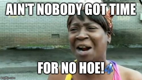 Ain't Nobody Got Time For That Meme | AIN'T NOBODY GOT TIME FOR NO HOE! | image tagged in memes,aint nobody got time for that | made w/ Imgflip meme maker