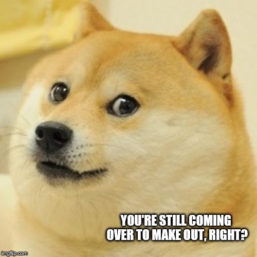 Doge Meme | YOU'RE STILL COMING OVER TO MAKE OUT, RIGHT? | image tagged in memes,doge | made w/ Imgflip meme maker