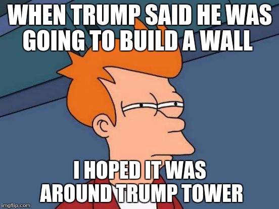 Futurama Fry Meme | WHEN TRUMP SAID HE WAS GOING TO BUILD A WALL; I HOPED IT WAS AROUND TRUMP TOWER | image tagged in memes,futurama fry | made w/ Imgflip meme maker