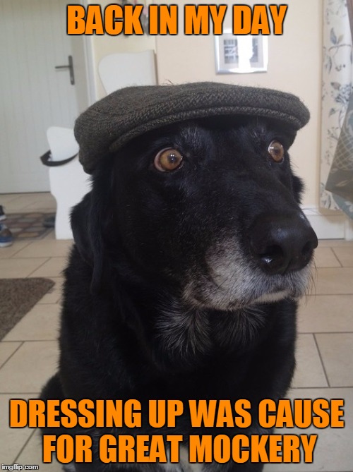 Dogs in Crazy Outfits | BACK IN MY DAY; DRESSING UP WAS CAUSE FOR GREAT MOCKERY | image tagged in back in my day dog,dressing up the dog,mockery,omg did you see what rex was wearing | made w/ Imgflip meme maker