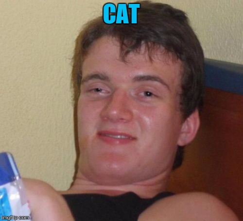 10 Guy Meme | CAT | image tagged in memes,10 guy | made w/ Imgflip meme maker