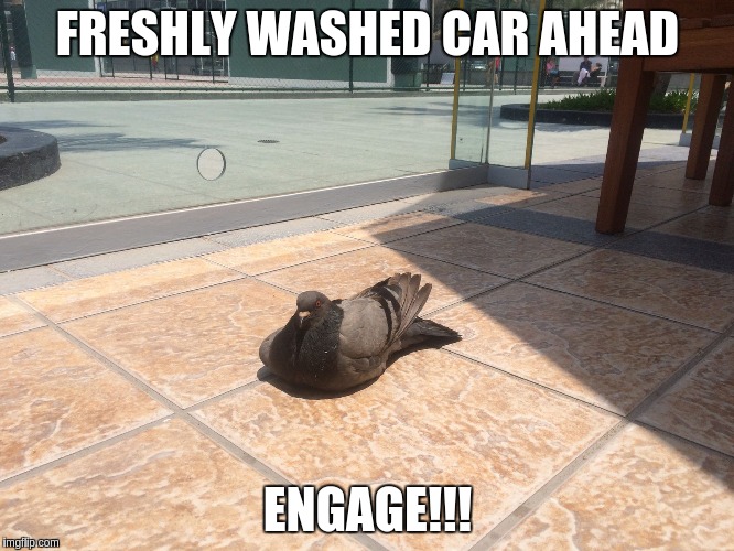 FRESHLY WASHED CAR AHEAD; ENGAGE!!! | made w/ Imgflip meme maker