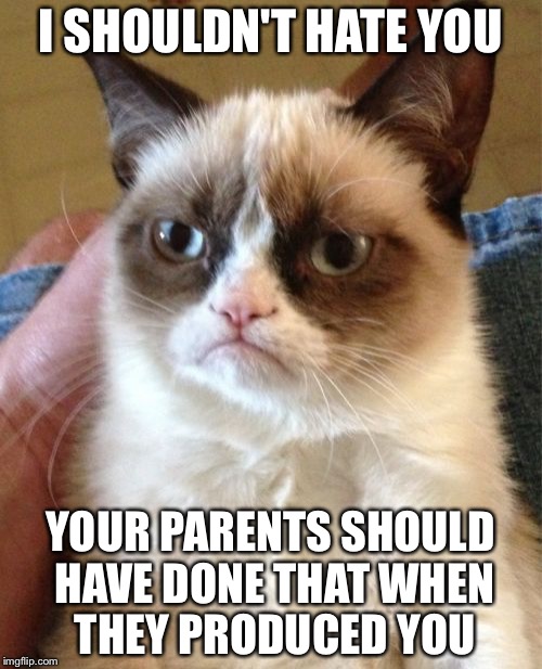Grumpy Cat | I SHOULDN'T HATE YOU; YOUR PARENTS SHOULD HAVE DONE THAT WHEN THEY PRODUCED YOU | image tagged in memes,grumpy cat | made w/ Imgflip meme maker