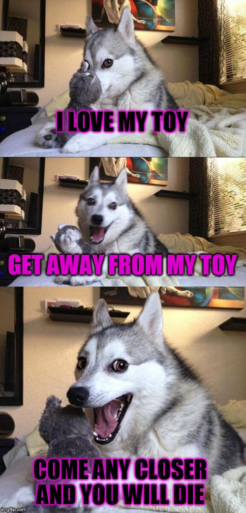 Bad Pun Dog Meme | I LOVE MY TOY; GET AWAY FROM MY TOY; COME ANY CLOSER AND YOU WILL DIE | image tagged in memes,bad pun dog | made w/ Imgflip meme maker