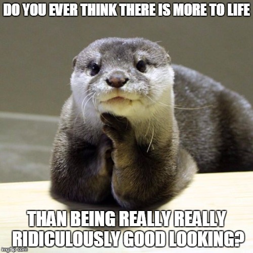 Image ged In Otter Too Cute Imgflip