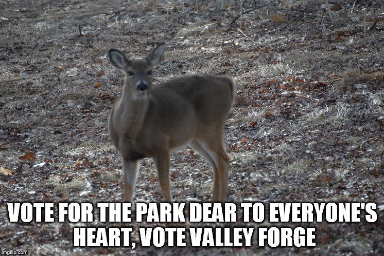 VOTE FOR THE PARK DEAR TO EVERYONE'S HEART, VOTE VALLEY FORGE | made w/ Imgflip meme maker