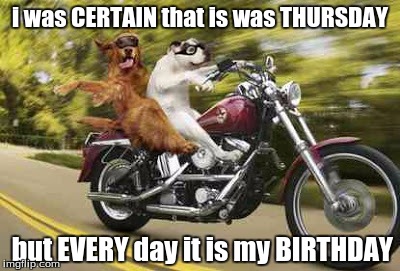 riding | i was CERTAIN that is was THURSDAY; but EVERY day it is my BIRTHDAY | image tagged in anyone | made w/ Imgflip meme maker