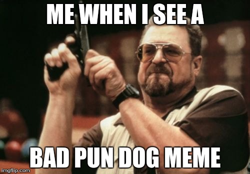 Am I The Only One Around Here | ME WHEN I SEE A; BAD PUN DOG MEME | image tagged in memes,am i the only one around here | made w/ Imgflip meme maker