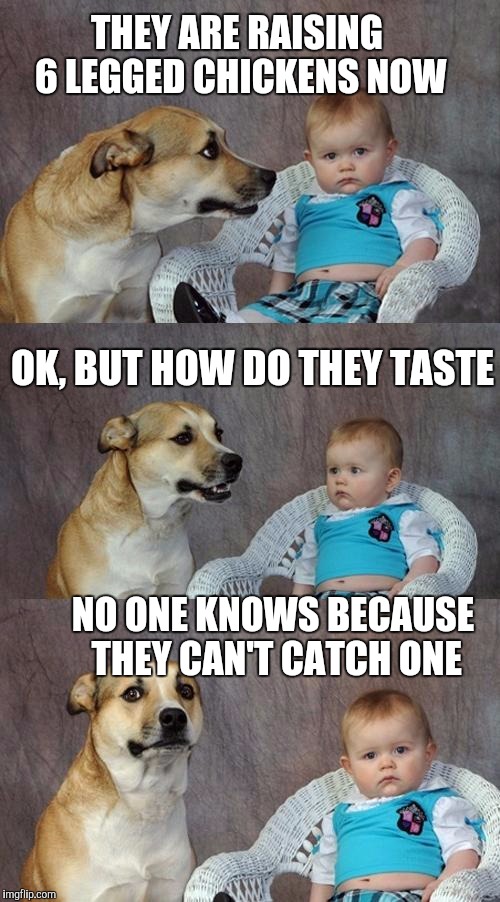 Dad Joke Dog Meme | THEY ARE RAISING 6 LEGGED CHICKENS NOW; OK, BUT HOW DO THEY TASTE; NO ONE KNOWS BECAUSE THEY CAN'T CATCH ONE | image tagged in memes,dad joke dog | made w/ Imgflip meme maker
