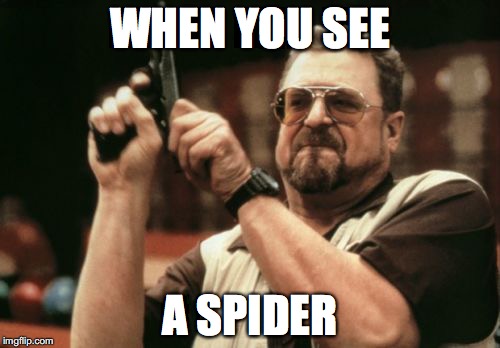 Am I The Only One Around Here | WHEN YOU SEE; A SPIDER | image tagged in memes,am i the only one around here | made w/ Imgflip meme maker