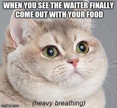 Heavy Breathing Cat | WHEN YOU SEE THE WAITER FINALLY COME OUT WITH YOUR FOOD | image tagged in memes,heavy breathing cat | made w/ Imgflip meme maker