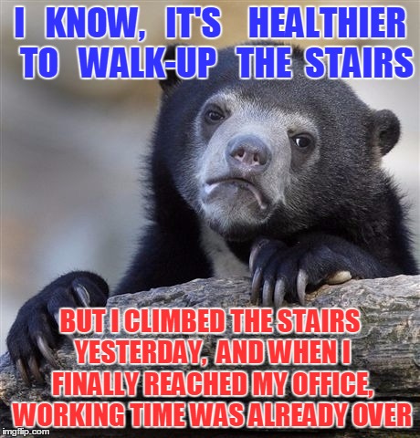 Confessions of an elevator addicted person | I   KNOW,   IT'S    HEALTHIER  TO   WALK-UP   THE  STAIRS; BUT I CLIMBED THE STAIRS YESTERDAY,  AND WHEN I FINALLY REACHED MY OFFICE, WORKING TIME WAS ALREADY OVER | image tagged in memes,confession bear,elevator,funny,animals,sport | made w/ Imgflip meme maker