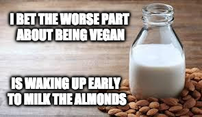 Actually it's probably no bacon. | I BET THE WORSE PART ABOUT BEING VEGAN; IS WAKING UP EARLY TO MILK THE ALMONDS | image tagged in almond milk,vegan,bacon,milk | made w/ Imgflip meme maker