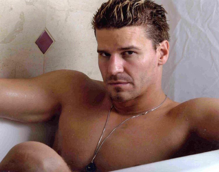 David Boreanaz tub Blank Meme Template