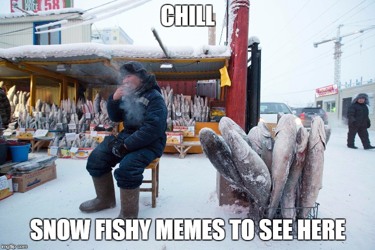 Thats Cold | CHILL SNOW FISHY MEMES TO SEE HERE | image tagged in thats cold | made w/ Imgflip meme maker