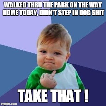 Success Kid Birdie | WALKED THRU THE PARK ON THE WAY HOME TODAY, DIDN'T STEP IN DOG SHIT; TAKE THAT ! | image tagged in success kid birdie,memes | made w/ Imgflip meme maker