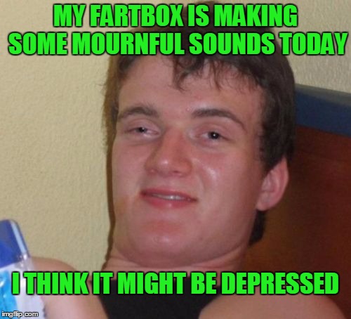 You would be too if that was your job. | MY FARTBOX IS MAKING SOME MOURNFUL SOUNDS TODAY; I THINK IT MIGHT BE DEPRESSED | image tagged in memes,10 guy | made w/ Imgflip meme maker