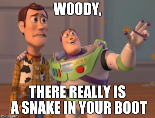 X, X Everywhere Meme | WOODY, THERE REALLY IS A SNAKE IN YOUR BOOT | image tagged in memes,x x everywhere | made w/ Imgflip meme maker