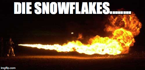 DIE SNOWFLAKES........ | image tagged in sjws,snowflakes | made w/ Imgflip meme maker