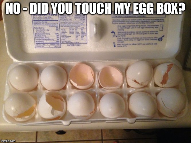 NO - DID YOU TOUCH MY EGG BOX? | image tagged in egg | made w/ Imgflip meme maker