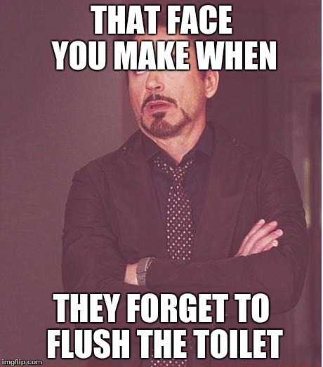 Face You Make Robert Downey Jr Meme | THAT FACE YOU MAKE WHEN THEY FORGET TO FLUSH THE TOILET | image tagged in memes,face you make robert downey jr | made w/ Imgflip meme maker