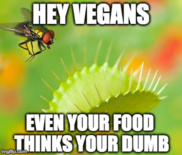 Just saying... | HEY VEGANS; EVEN YOUR FOOD THINKS YOUR DUMB | image tagged in anti vegan,bacon,dumb,vegan | made w/ Imgflip meme maker