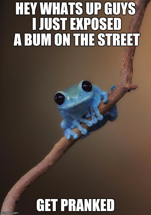 small fact frog | HEY WHATS UP GUYS I JUST EXPOSED A BUM ON THE STREET; GET PRANKED | image tagged in small fact frog | made w/ Imgflip meme maker