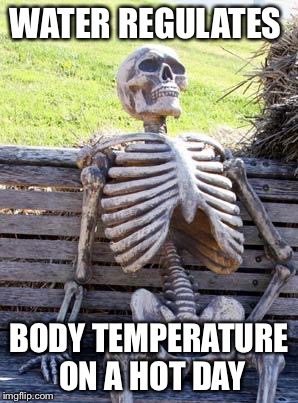 Waiting Skeleton Meme | WATER REGULATES; BODY TEMPERATURE ON A HOT DAY | image tagged in memes,waiting skeleton | made w/ Imgflip meme maker