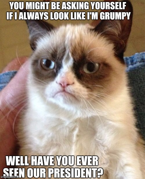 Grumpy Cat Meme | YOU MIGHT BE ASKING YOURSELF IF I ALWAYS LOOK LIKE I'M GRUMPY; WELL HAVE YOU EVER SEEN OUR PRESIDENT? | image tagged in memes,grumpy cat | made w/ Imgflip meme maker