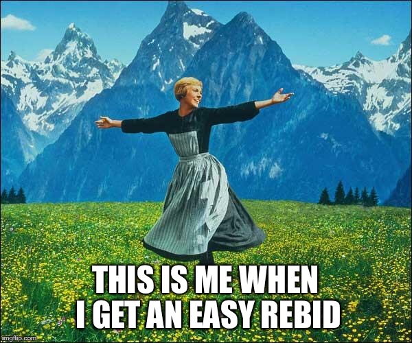 Julie Andrews | THIS IS ME WHEN I GET AN EASY REBID | image tagged in julie andrews | made w/ Imgflip meme maker