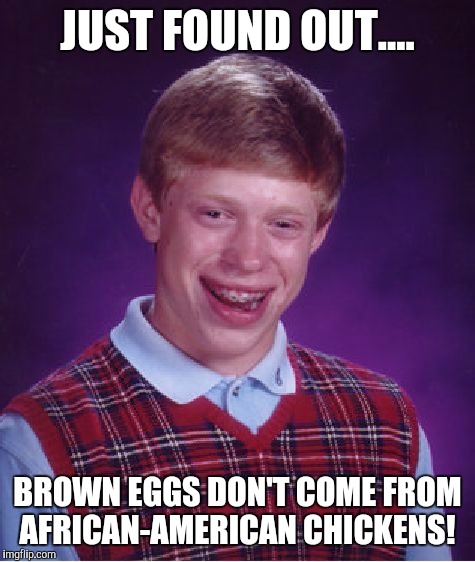 Bad Luck Brian | JUST FOUND OUT.... BROWN EGGS DON'T COME FROM AFRICAN-AMERICAN CHICKENS! | image tagged in memes,bad luck brian | made w/ Imgflip meme maker