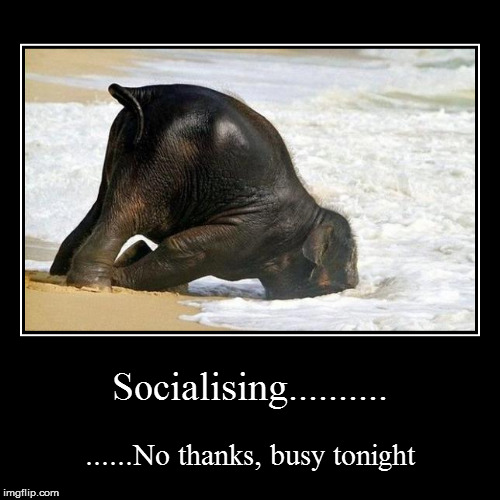 socialising, no thanks | image tagged in funny,demotivationals | made w/ Imgflip demotivational maker
