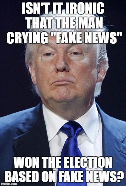 Donald Trump | ISN'T IT IRONIC THAT THE MAN CRYING "FAKE NEWS"; WON THE ELECTION BASED ON FAKE NEWS? | image tagged in donald trump | made w/ Imgflip meme maker