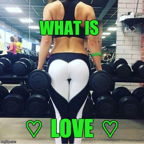 What Is L♡VE? Yoga Pants Week extended edition until April 3rd! Imgflip