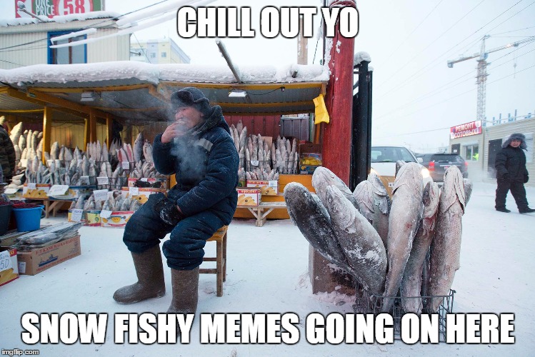 S'nothing fishy going on here.... | CHILL OUT YO; SNOW FISHY MEMES GOING ON HERE | image tagged in thats cold,funny,frozen,fish,snow joke,play on words | made w/ Imgflip meme maker