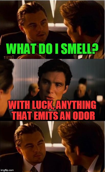 Inception | WHAT DO I SMELL? WITH LUCK, ANYTHING THAT EMITS AN ODOR | image tagged in memes,inception | made w/ Imgflip meme maker